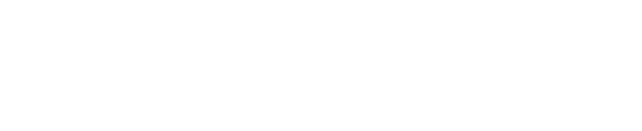 VpsLayer Hosting